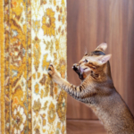 How to Stop Cats From Scratching Furniture: 10 Proven Methods