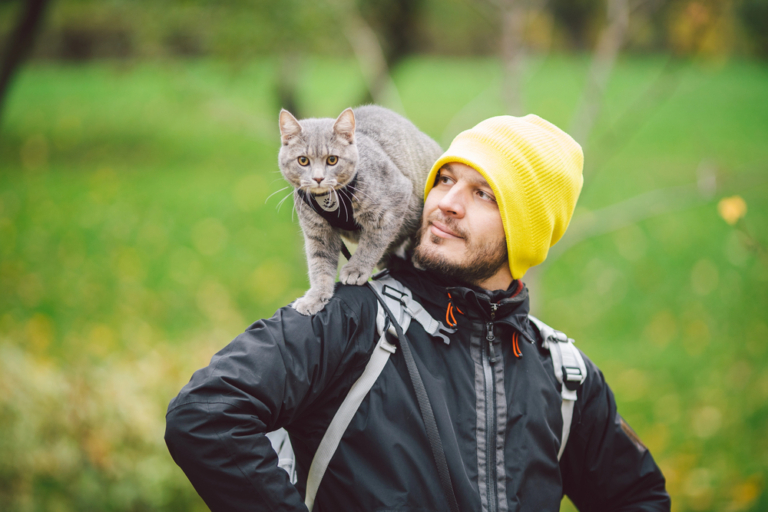 How to Train a Cat to Walk on a Leash